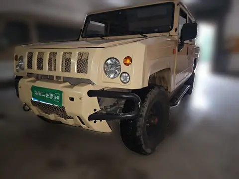 BAW Warrior Pickup 2019