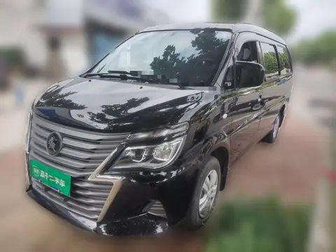 Forthing Lingzhi 2024