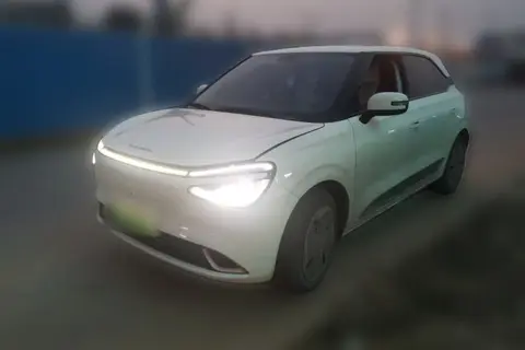 Dongfeng Nammi 01 2025