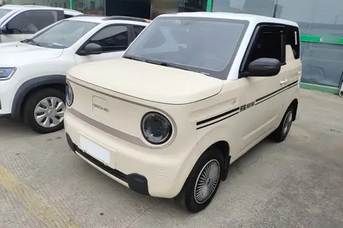 Geely Panda 2024