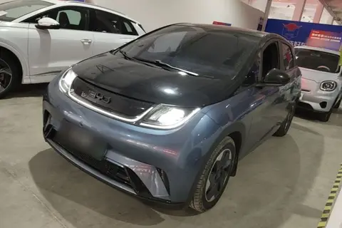 BYD Dolphin 2024