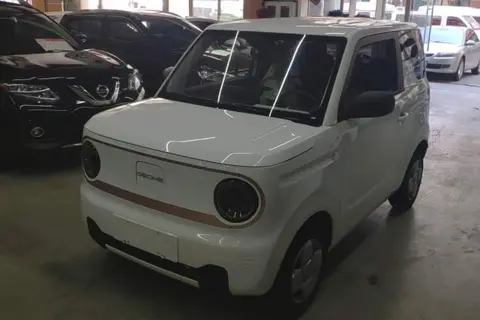 Geely Panda 2025