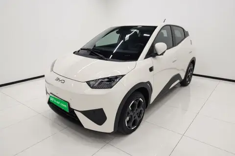 BYD Seagull 2025