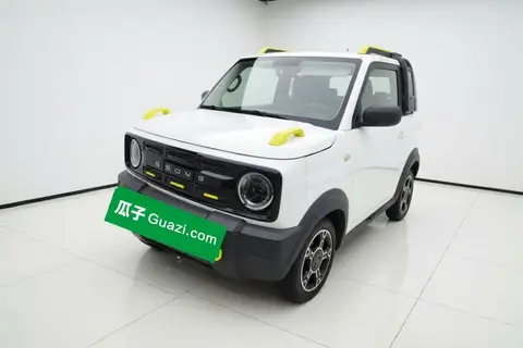 Geely Panda 2024