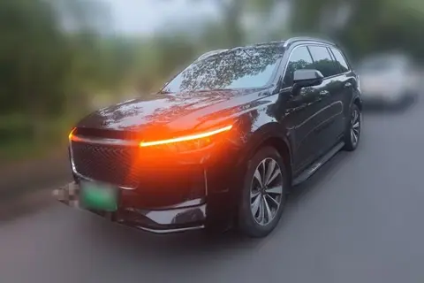 Li ONE 2020