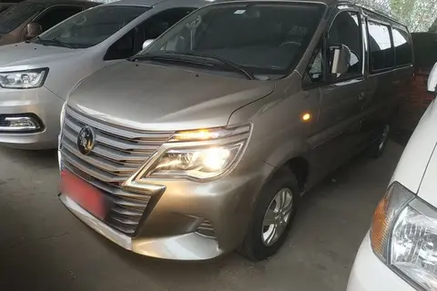 Forthing Lingzhi 2023