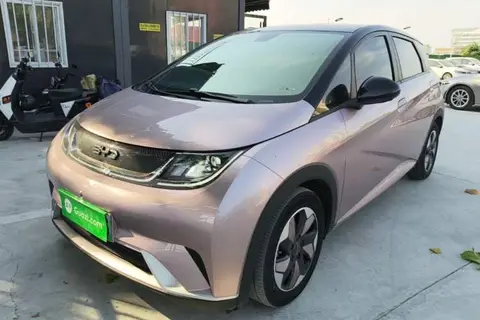 BYD Dolphin 2024