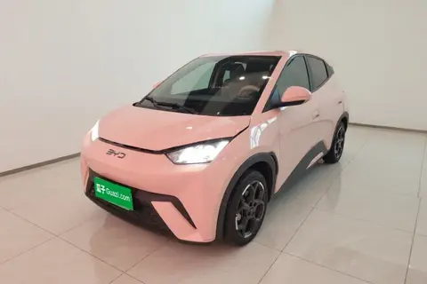 BYD Seagull 2024
