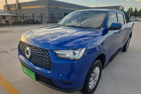 Great Wall Poer 2020