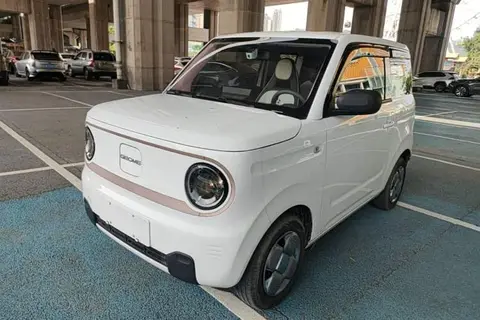 Geely Panda 2024