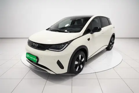 BYD Dolphin 2025