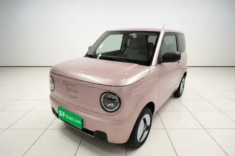 Geely Panda 2024
