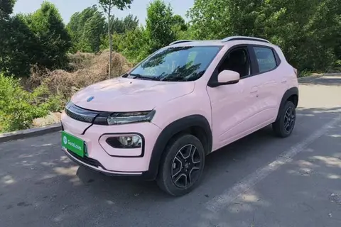 Dongfeng Nammi Box 2023