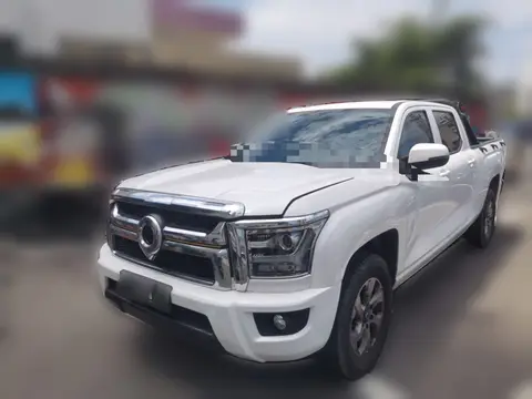 Great Wall King Kong Poer 2023