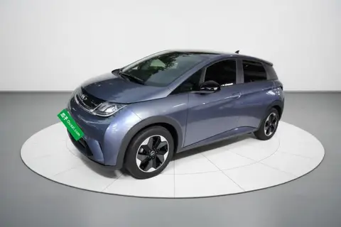 BYD Dolphin 2024