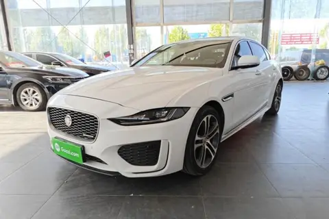 Jaguar XEL 2021