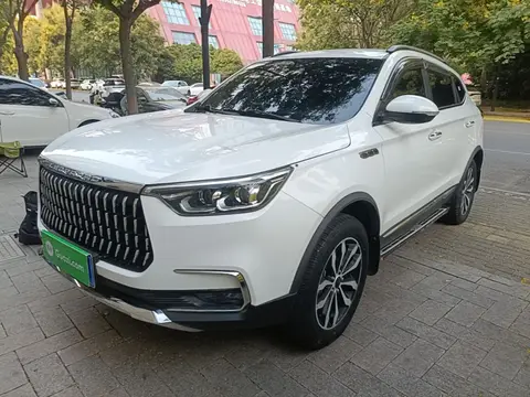 Leopaard Mattu 2018