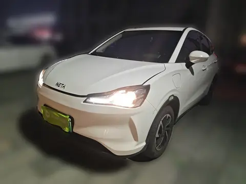 NETA V 2021