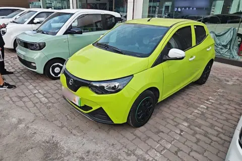 Jiangling Xiao Qilin 2022
