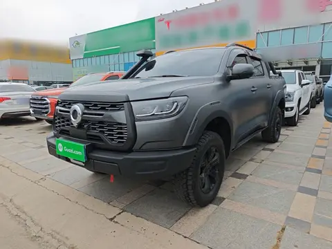 Great Wall Poer 2025