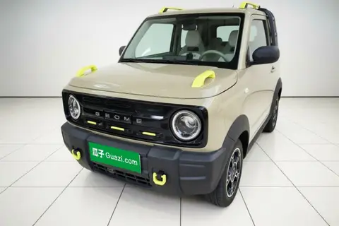 Geely Panda 2025