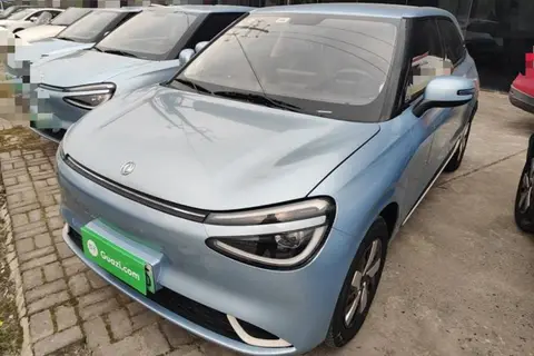 Dongfeng Nammi 01 2024