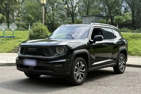 Haval H Dog 2024