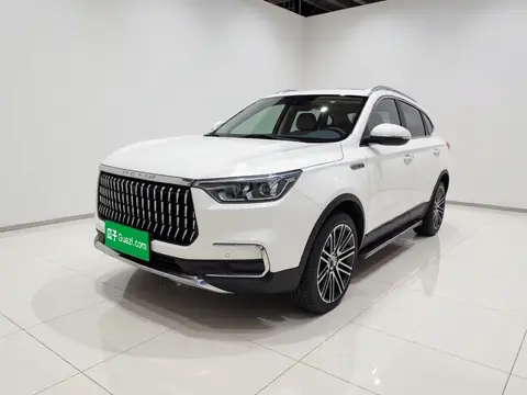 Leopaard Mattu 2019