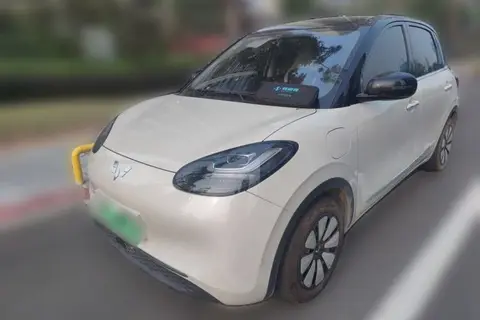 Wuling Bingo 2024