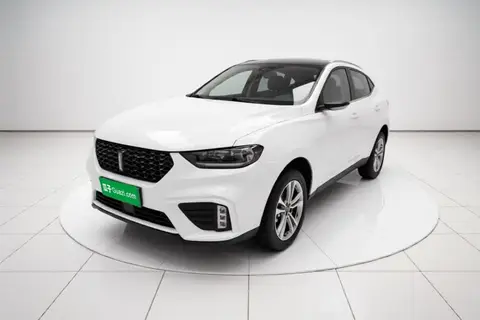 Wey VV5 2019