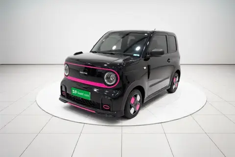Geely Panda 2025