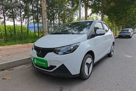 Jiangling Xiao Qilin 2025