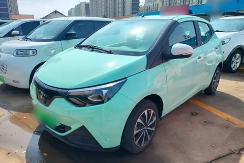 Jiangling Xiao Qilin 2025