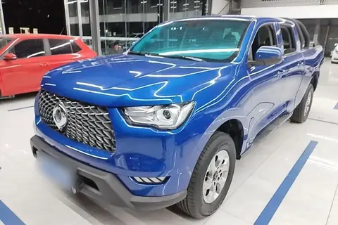 Great Wall Poer 2020