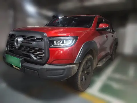 Great Wall Poer 2023
