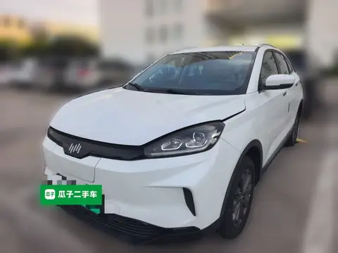 Weltmeister EX5 2019