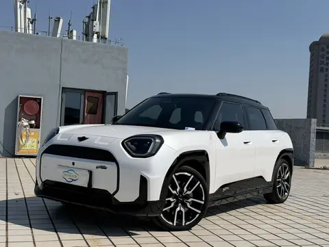 MINI ACEMAN 2024