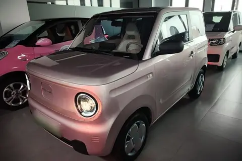 Geely Panda 2024