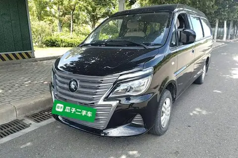 Forthing Lingzhi 2023
