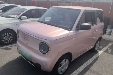Geely Panda 2024