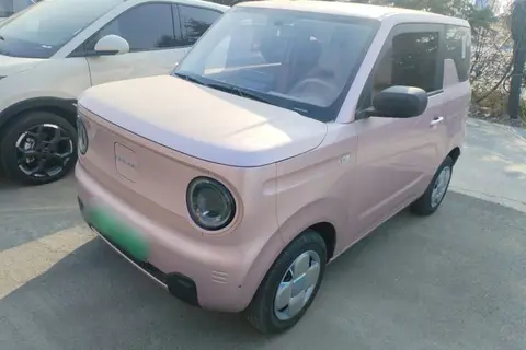 Geely Panda 2024