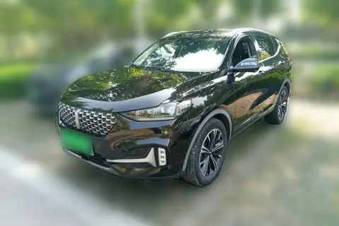 Wey VV6 2020