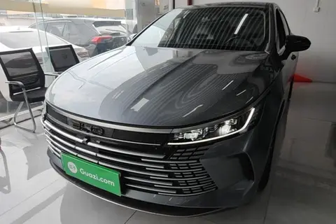 BYD Destroyer 05 2024