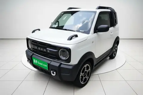 Geely Panda 2024