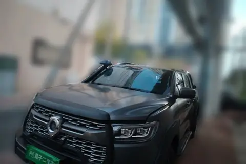 Great Wall Poer 2022