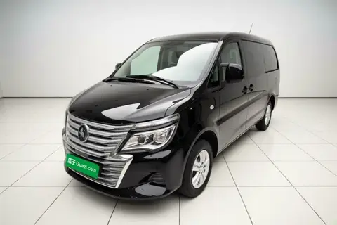 Forthing Lingzhi 2024