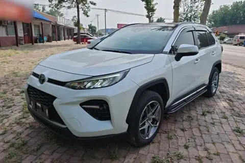 Toyota Wildlander 2020