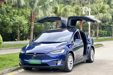 Tesla Model X 2020