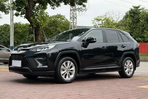 Toyota Wildlander 2020