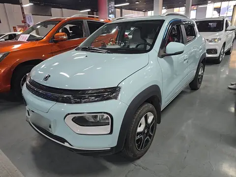 Dongfeng Nammi Box 2024